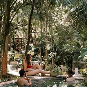  Lodge Anand Ecoaldea Mexique
